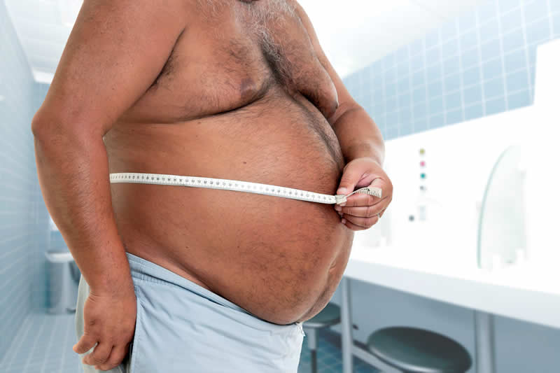 causas de la obesidad