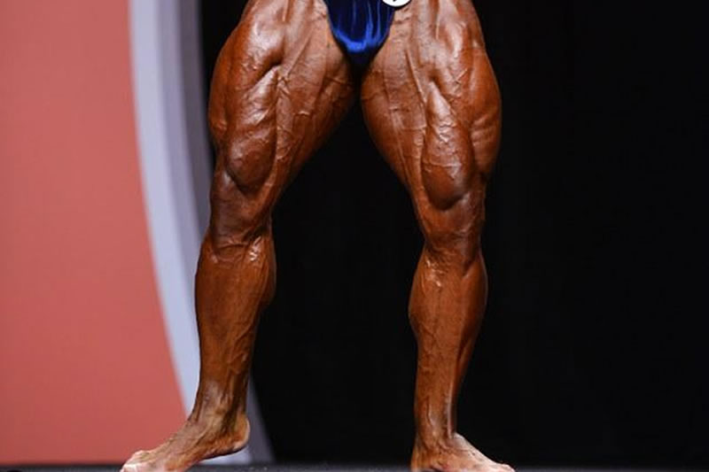 Cuadriceps