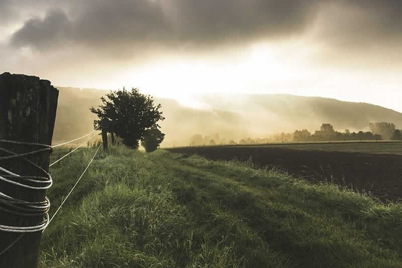 Obesidad y entorno rural